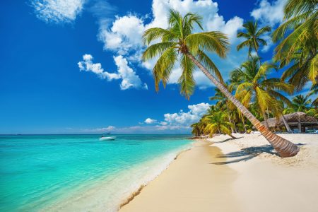 Tropical,Island,Beach,In,Punta,Cana,,Dominican,Republic